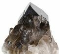 Smoky Quartz Crystal Cluster - Brazil #42005-1